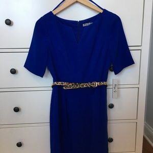 Blue sheath dress with animal print belt